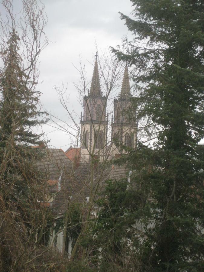 Ferienwohnung Mit Aegidienblick Oschatz Kültér fotó